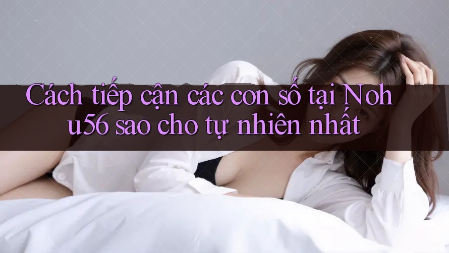 Cách tiếp cận các con số tại Nohu56 sao cho tự nhiên nhất Cách tiếp cận các con số tại Nohu56 sao cho tự nhiên nhất
