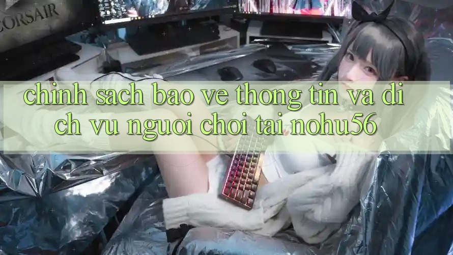 Chính Sách Bảo vệ thông tin Và Dịch Vụ Người chơi Tại nohu56 Chính Sách Bảo vệ thông tin Và Dịch Vụ Người chơi Tại nohu56