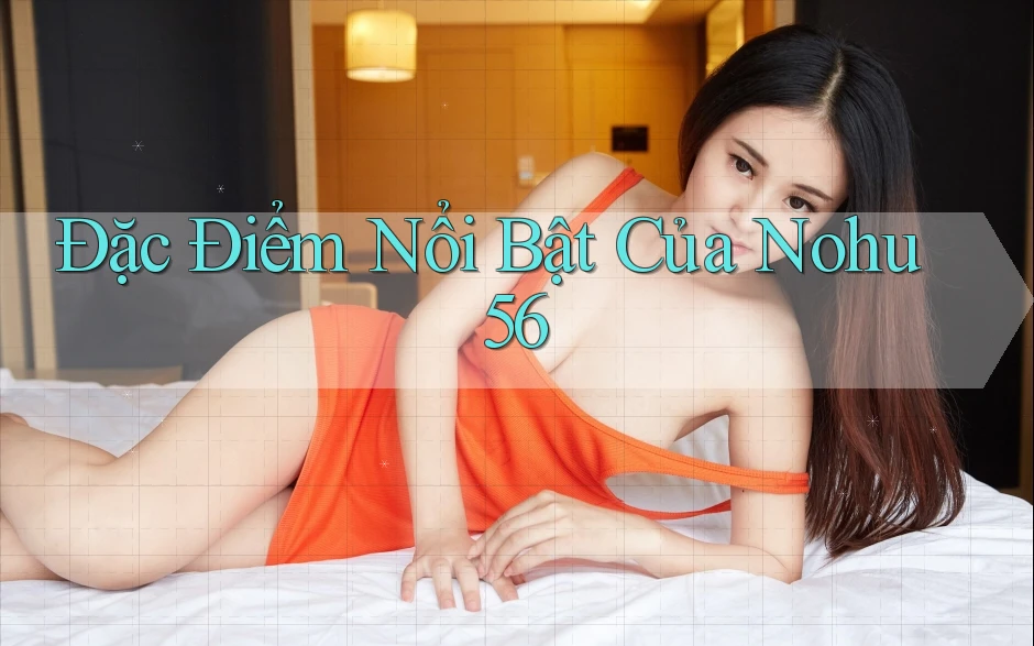 Đặc Điểm Nổi Bật Của Nohu56 Đặc Điểm Nổi Bật Của Nohu56