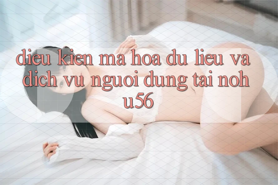Điều kiện Mã hóa dữ liệu Và Dịch Vụ Người dùng Tại nohu56