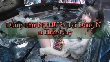 dùng thử nohu56 tại Đồng Nai hiện nay