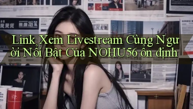 link xem livestream cùng người nổi bật của nohu56 ổn định