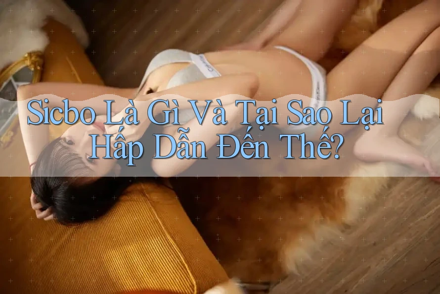 Sicbo Là Gì Và Tại Sao Lại Hấp Dẫn Đến Thế? Sicbo Là Gì Và Tại Sao Lại Hấp Dẫn Đến Thế?