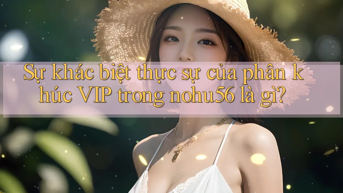 Sự khác biệt thực sự của phân khúc VIP trong nohu56 là gì? Sự khác biệt thực sự của phân khúc VIP trong nohu56 là gì?