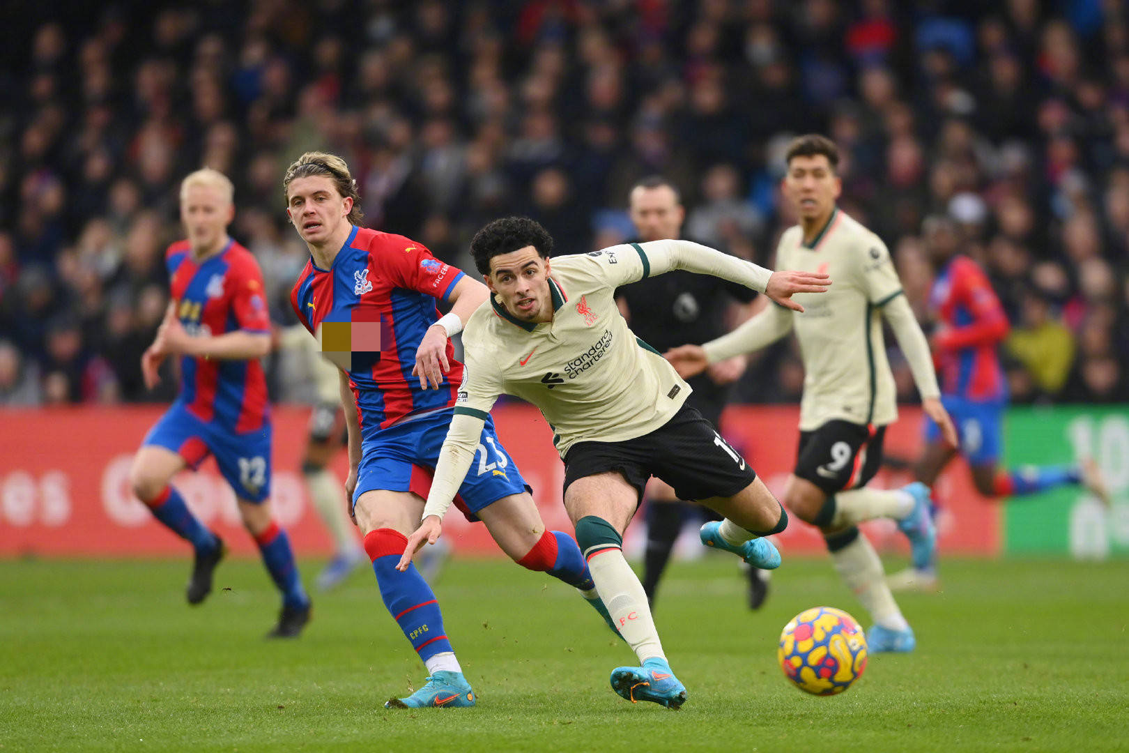 手的初级滑 手的初级滑